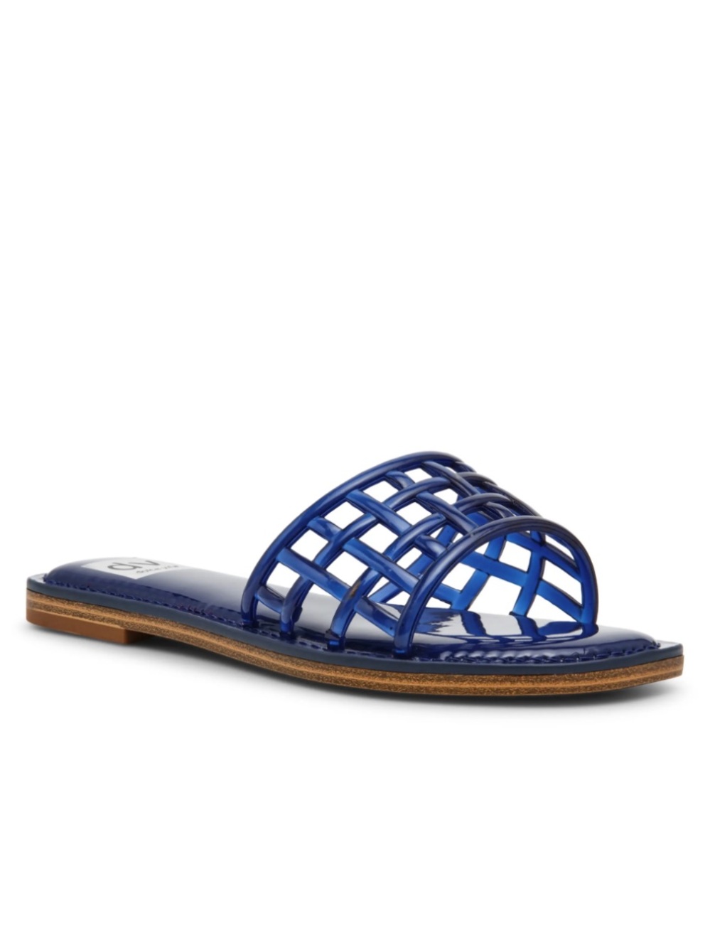 DV by Dolce Vita Jelly Sandals